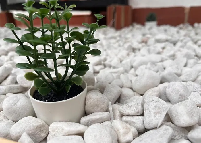 Atico Sol Y Mar Appartement